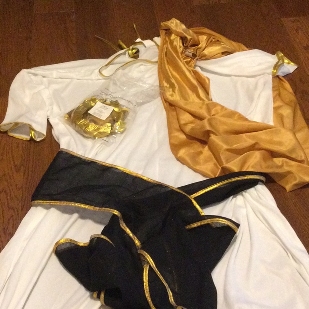 Men’s Caesar costume size 2X
